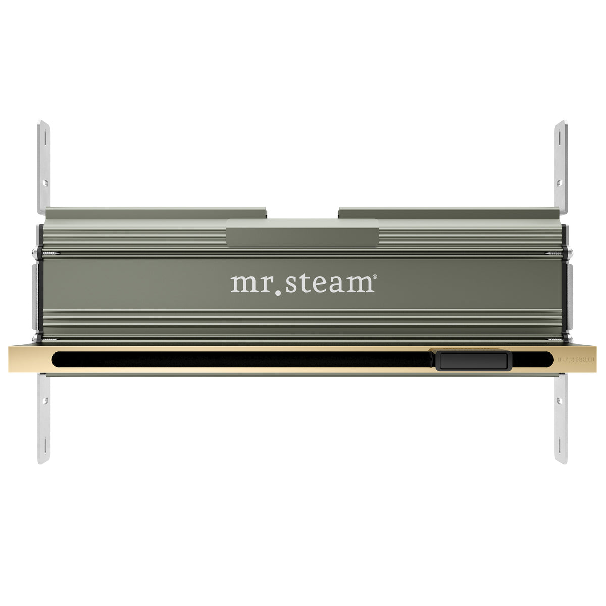 104480PB_Mr. Steam_Linear 16 in. W. Steamhead with AromaTherapy Reservoir