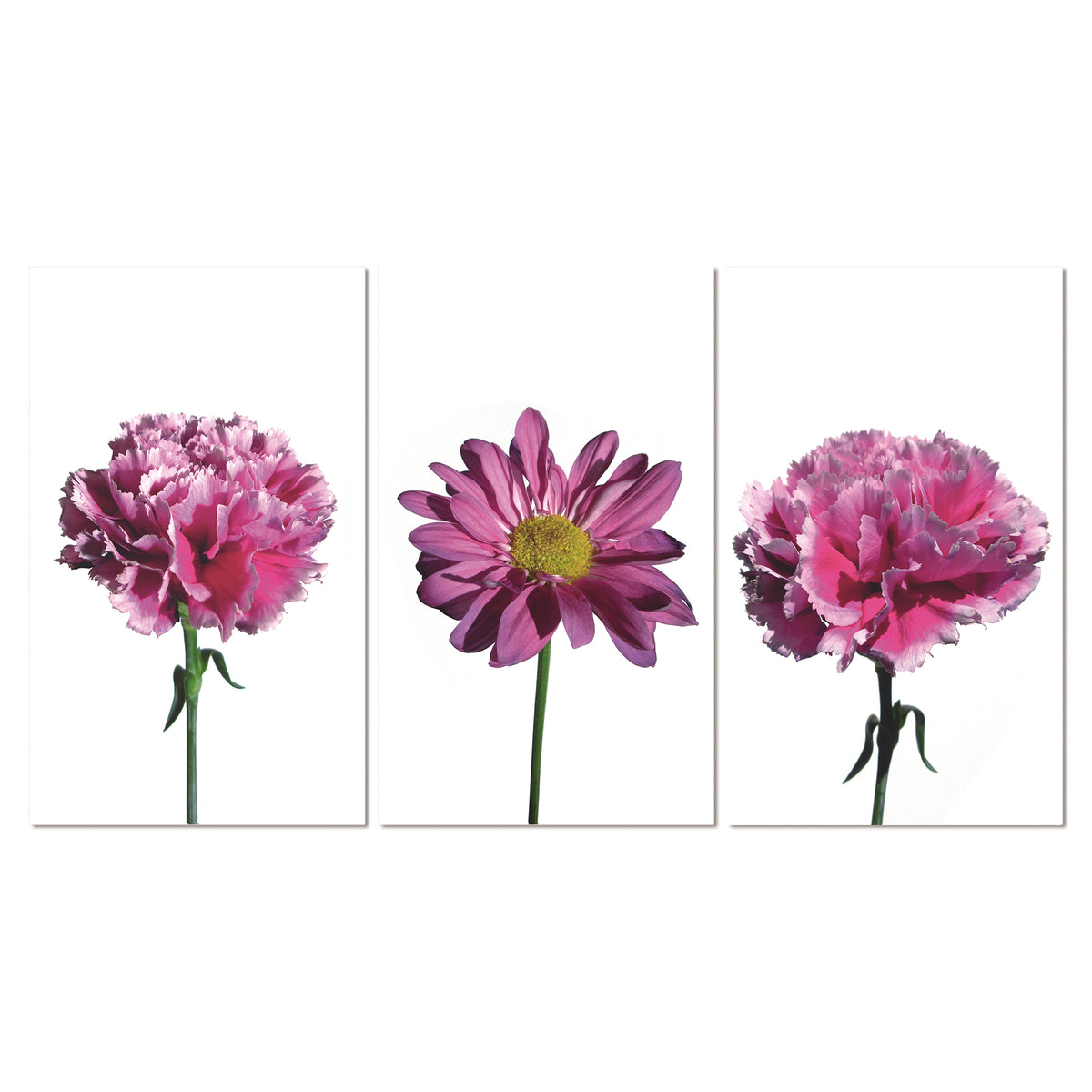 Bellini Italian Home 3 Piece Acrylic Picture Of Pink Flowers Consisting Of 2 Carnations and 1 Daisy with Stems 40x72