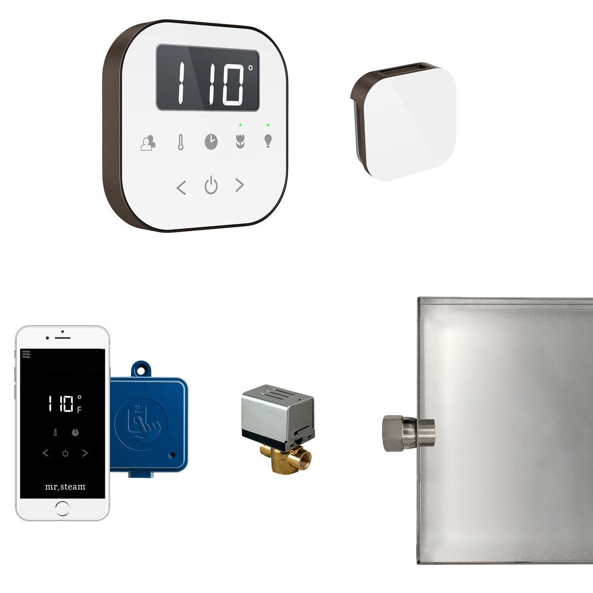 ABUTLER1W-OR_Mr. Steam_AirButler Steam Shower Control Package with AirTempo Control and Aroma Glass SteamHead