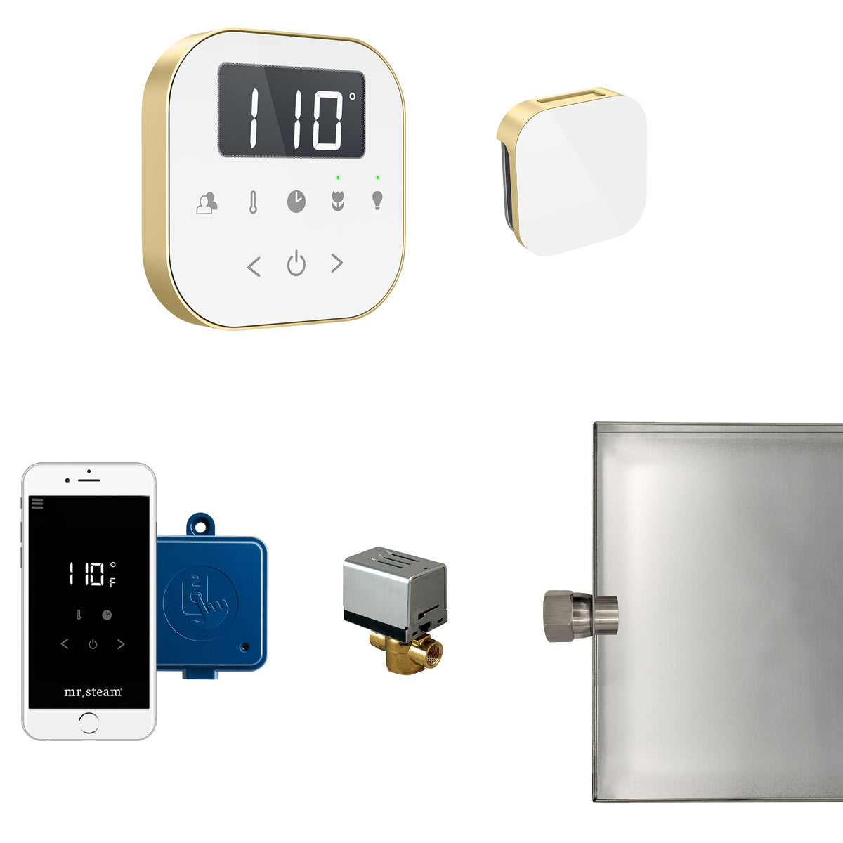 ABUTLER1W-SB_Mr. Steam_AirButler Steam Shower Control Package with AirTempo Control and Aroma Glass SteamHead