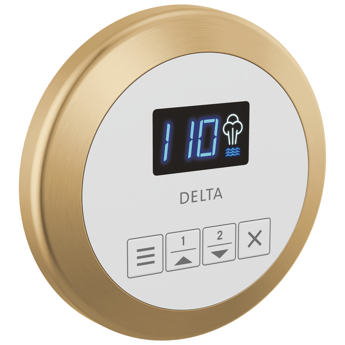 Delta SteamScape™ Classic Round Control