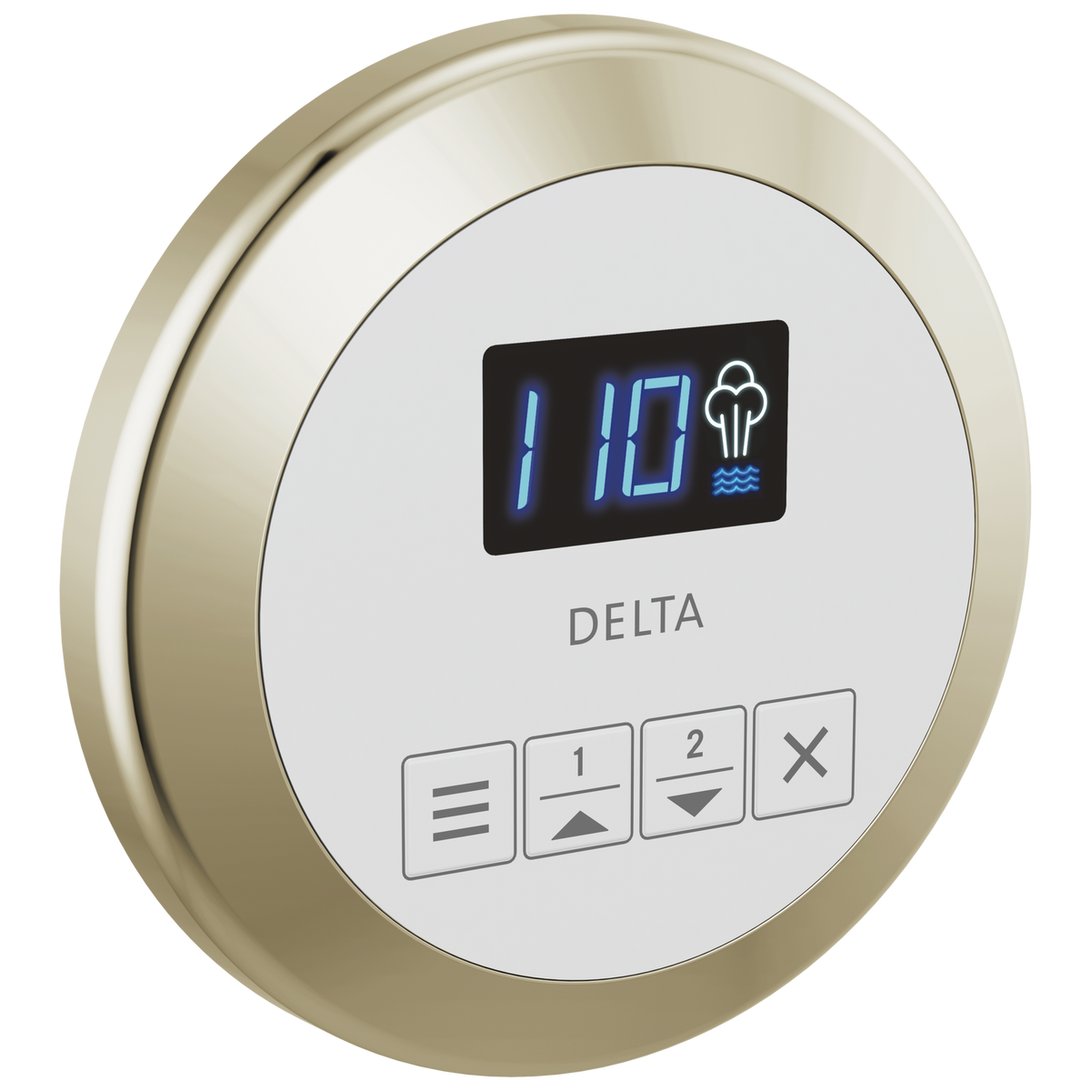 Delta SteamScape™ Classic Round Control